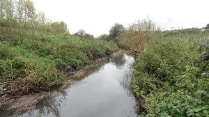 Beam Valley Country Park